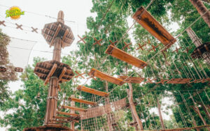 Read more about the article Dare to Explore: Must-Try Adventure Experiences in Singapore This Year