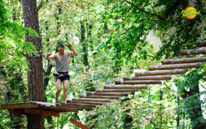 Read more about the article Why Adventure Parks Are the Perfect Choice for Teenagers’ Activities in Singapore